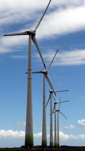 Wind Farm_1