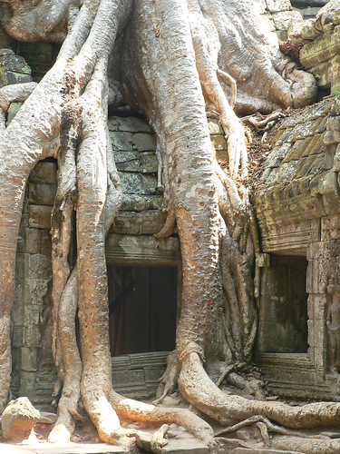 Tree temple
