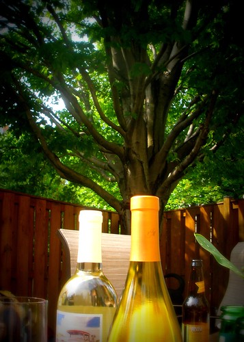 tree and wine