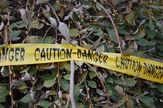 caution danger tree