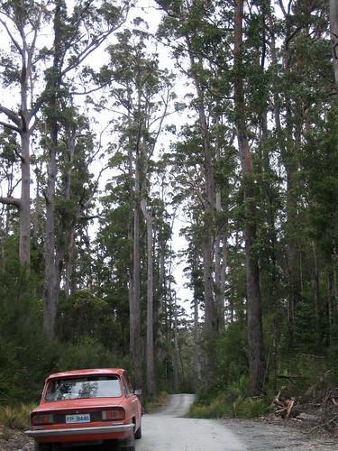 BOB in the forest on the Western Explorer