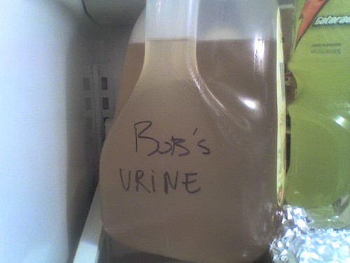 Bob's urine