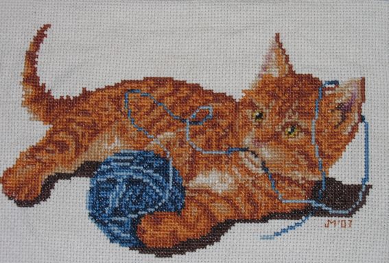 Knittin' Kitten
