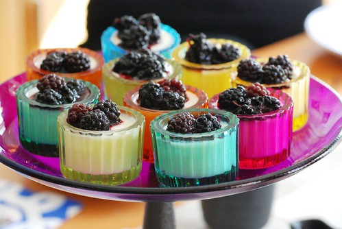 blackberry-yogurt-pannacotta2