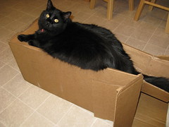 Huggy on the box