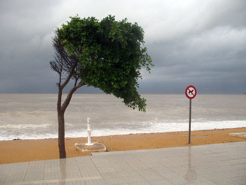 Spanish Storm