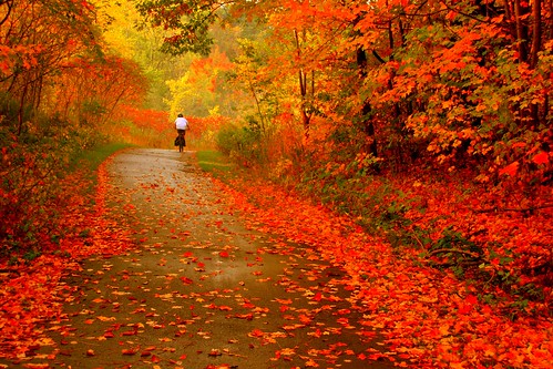 Autumn Ride  ! von Ming chai.