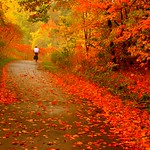 Autumn Ride  !