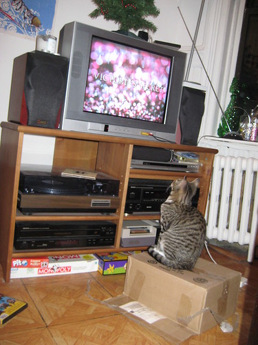buster watches victoria secret commercials