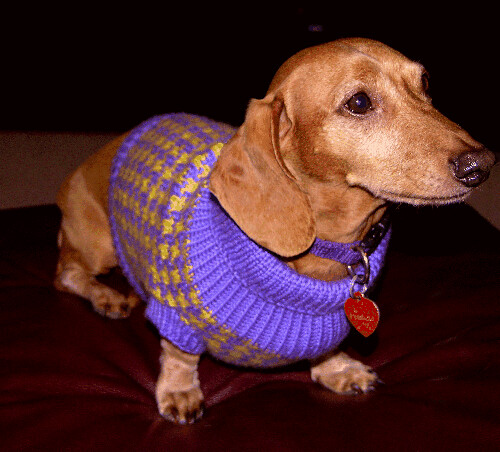 Houndstooth Hundestrickjacke: knitpurlgirl — LiveJournal