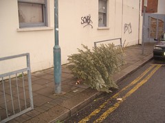 the christmas tree rubbish