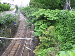 Arakawa Streetcar Tracks
