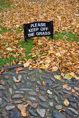 Keep Off the Grass, Cambridge