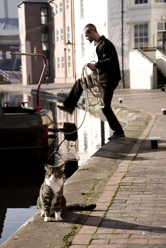 Canal Cat 2