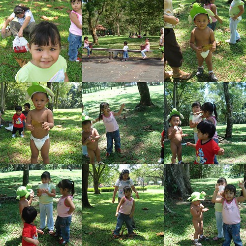 Play in the Park