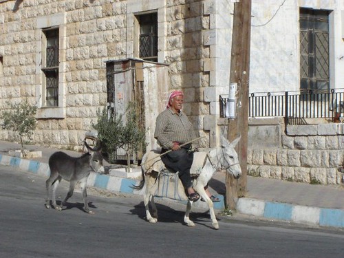 Maalula donkey rider ©  upyernoz