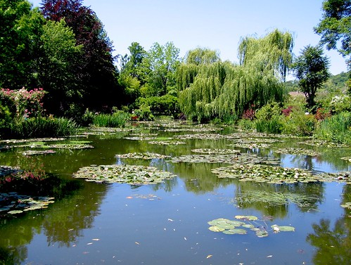 Monet's Pond II