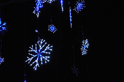 snowflakes at Brookside Garden of Lights