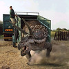 39 Bob releases Theo the teen raged Triceratops