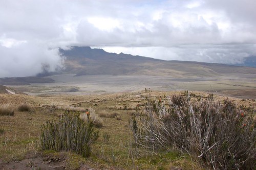 Desertscape at the base of Cotopaxi