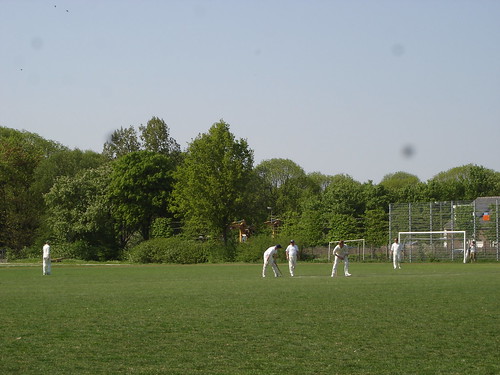 Cricket 4