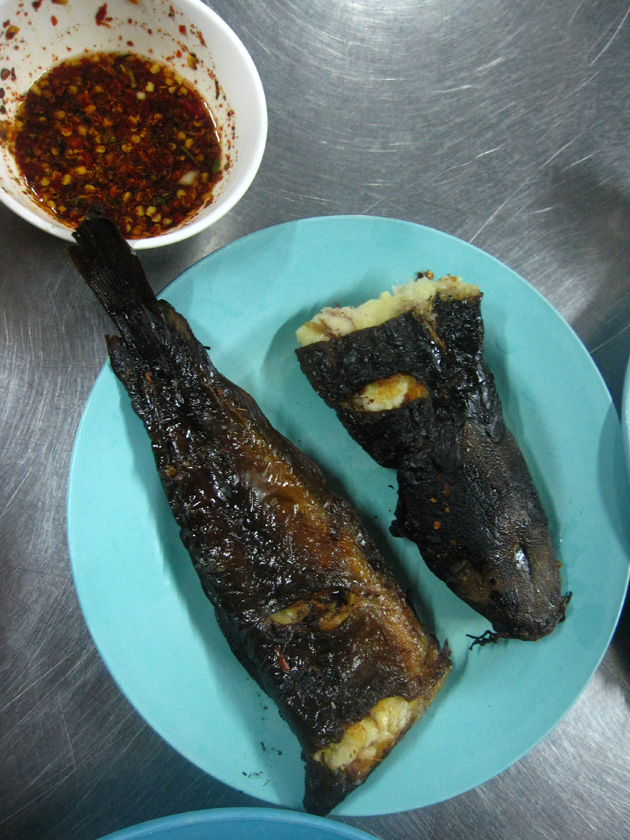 Grilled catfish (pla duk yang ปลาดุกย่าง)