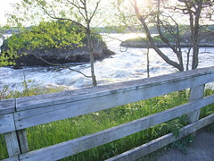 Saint John Reversing Falls