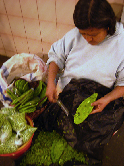 Oaxacan Woman Cleaning Cactus Paddles