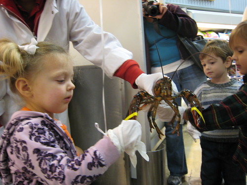RJ's first encounter with a lobster. She calls them "monsters."