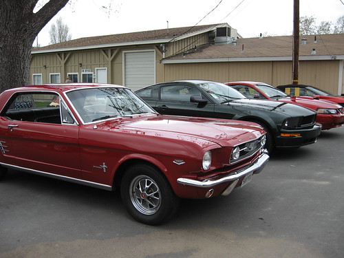 Three Generations of Mustang