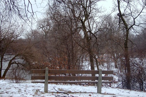 Winter Scenery in Chicago
