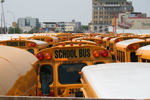 A lot of school buses by wheany.