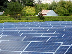 Solar panels. Photo by MargiL.