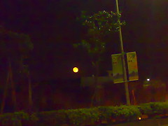 三芝路上看到又大又黃的月亮