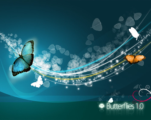butterfly wallpaper. wallpaper-utterfly
