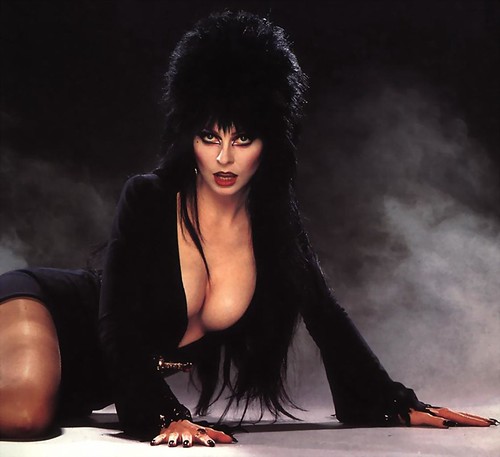 Elvira Mistress of The Dark by Gnarly Guy