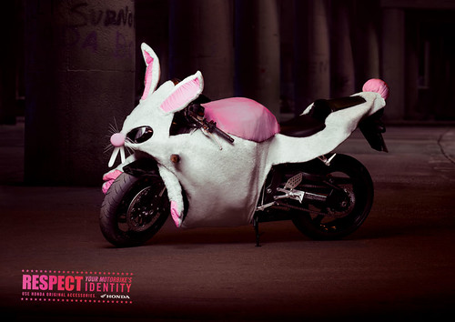Rabbit Bike