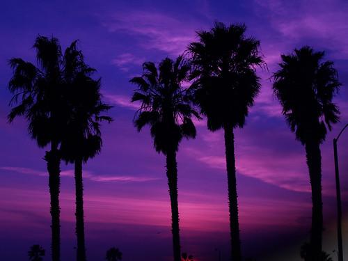 purple sunset beaches. Venice Beach sunset through
