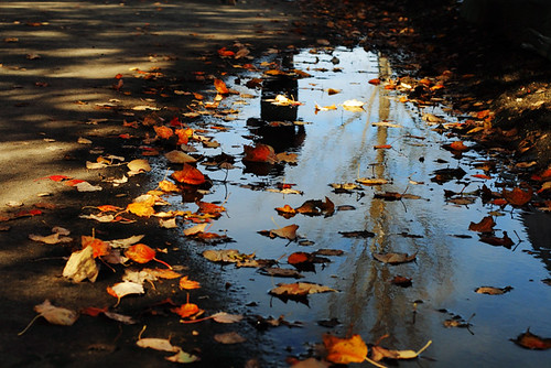 Fall Reflections 4157