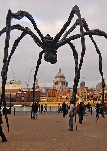 spider at tate