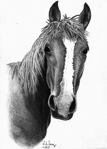 horse head sketch. Horse Drawing 11-04-07