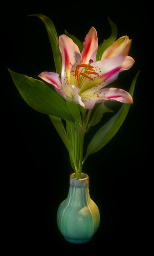 Lily in a Green Vase