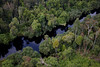 Pristine peatlands (wetland) in Kampar peninsula di Greenpeace International