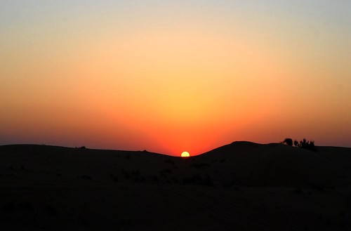 Desert Sunset
