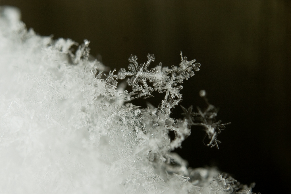 Snow crystal-1
