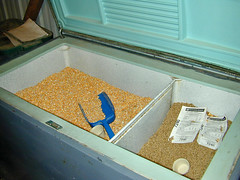 Storing feed in an old freezer