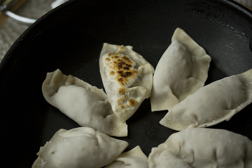 Searing the pot stickers