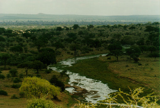 Tarangire River