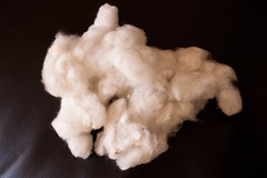 cotton out of the boll