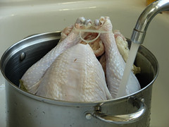 thawing_turkey